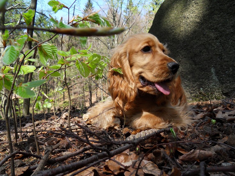 (17p) Anny-24.5.2010.JPG